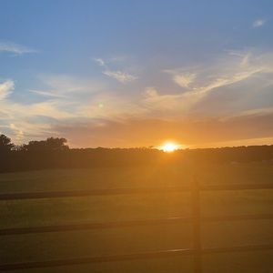 Meet your Posher, Addi